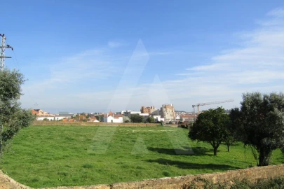Terreno para Venda em Albergaria-A-Velha e Valmaior