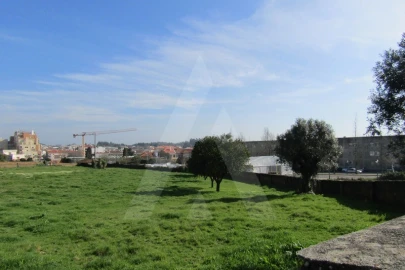 Terreno para Venda em Albergaria-A-Velha e Valmaior