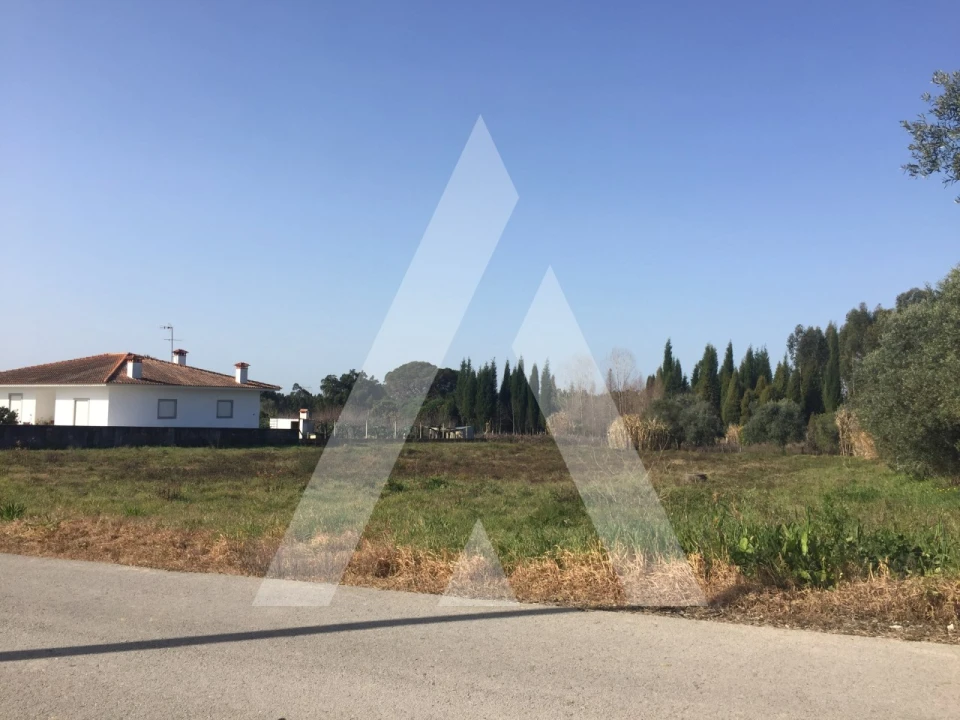 Terreno para Venda em Covões e Camarneira Foto 1