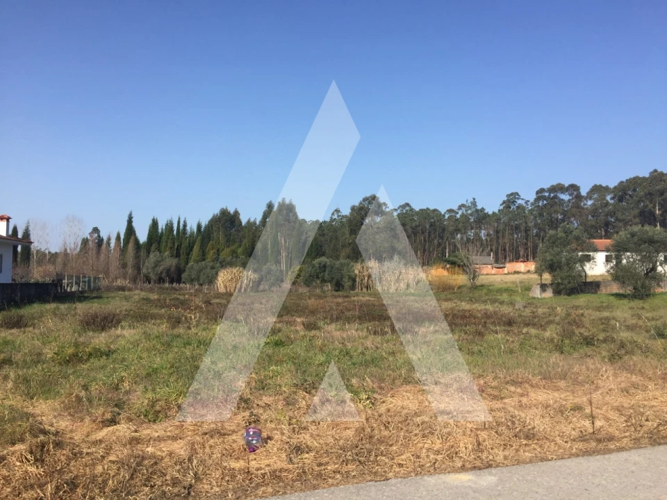 Terreno para Venda em Covões e Camarneira Foto 3