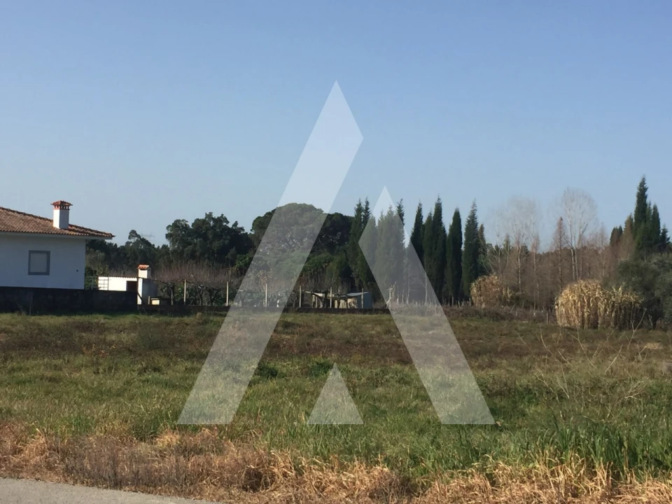 Terreno para Venda em Covões e Camarneira Foto 4