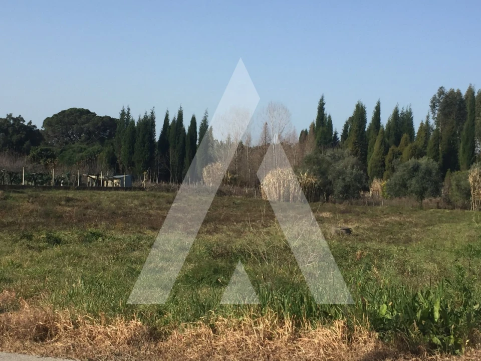 Terreno para Venda em Covões e Camarneira Foto 6