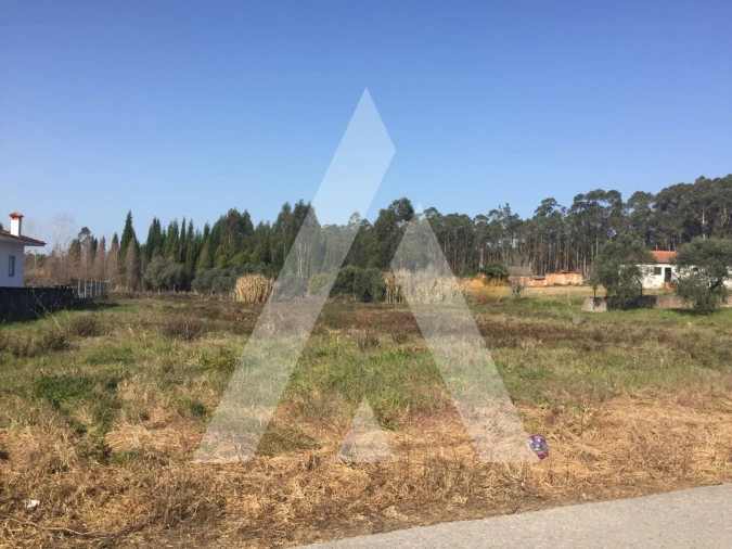 Terreno para Venda em Covões e Camarneira Foto 2