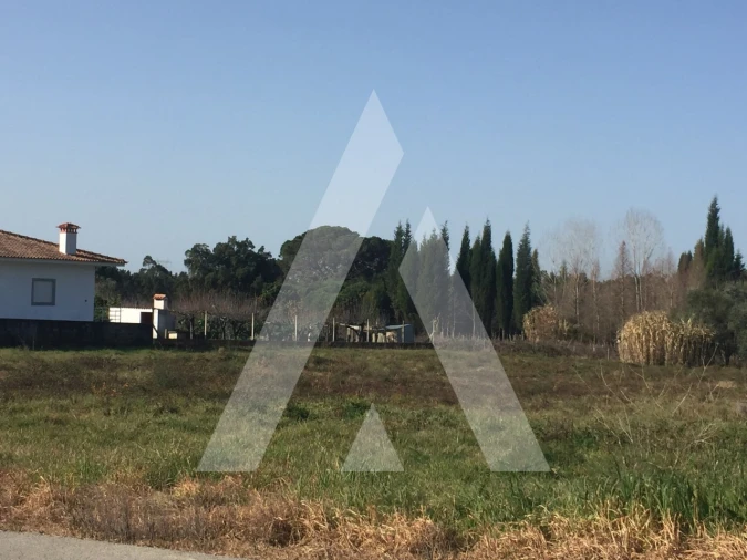 Terreno para Venda em Covões e Camarneira Foto 4