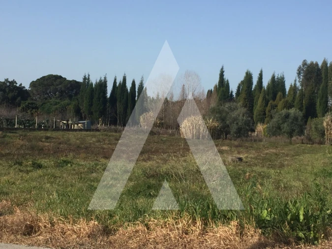 Terreno para Venda em Covões e Camarneira Foto 6