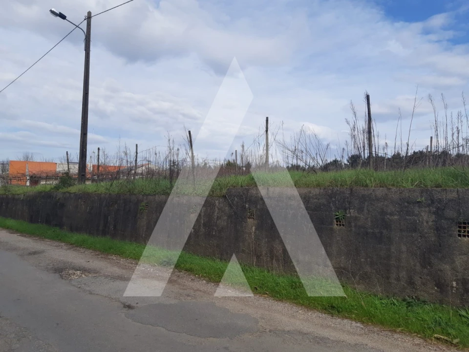 Terreno para Venda em São Lourenço do Bairro Foto 1