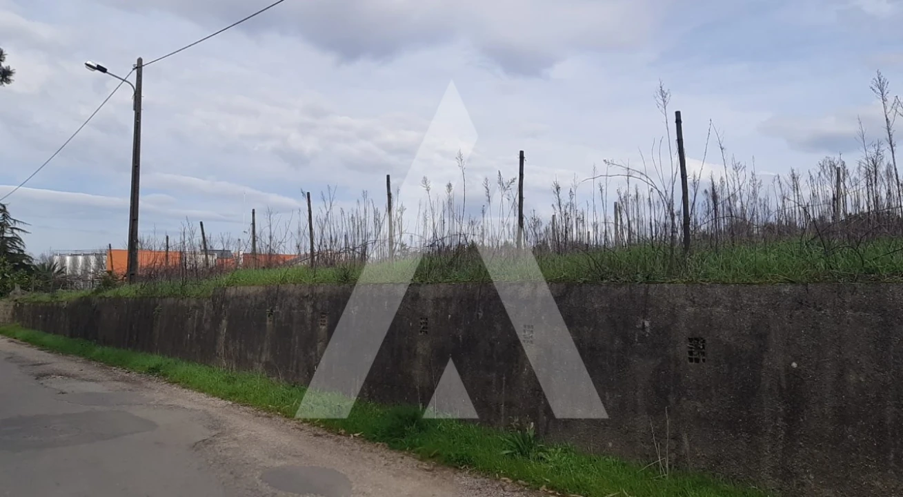 Terreno para Venda em São Lourenço do Bairro Foto 2
