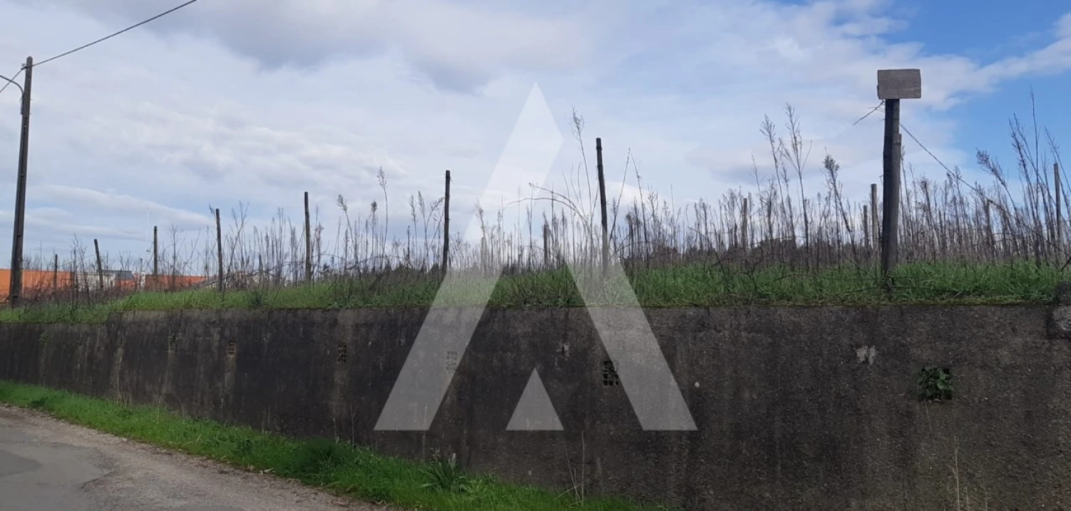 Terreno para Venda em São Lourenço do Bairro Foto 3