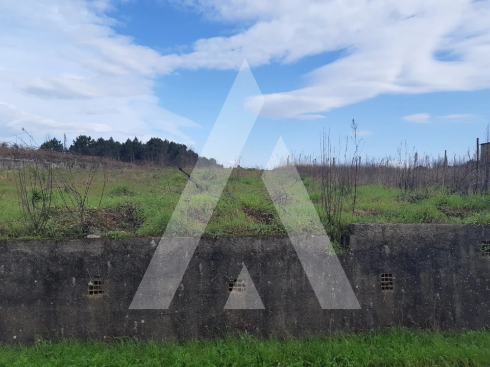 Terreno para Venda em São Lourenço do Bairro Foto 5