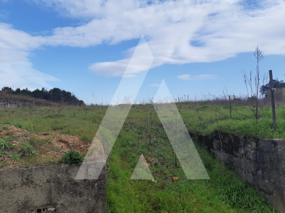 Terreno para Venda em São Lourenço do Bairro Foto 6