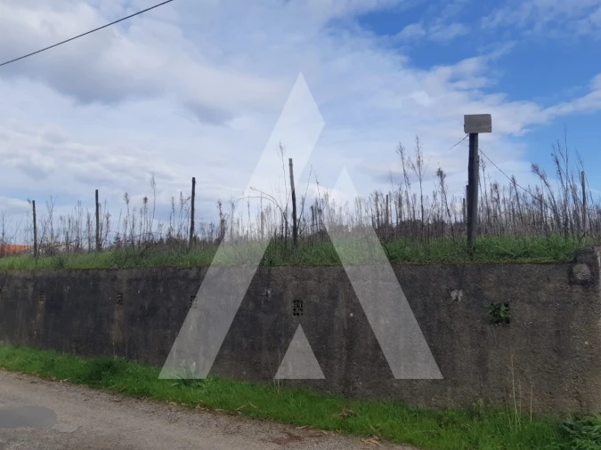 Terreno para Venda em São Lourenço do Bairro Foto 4