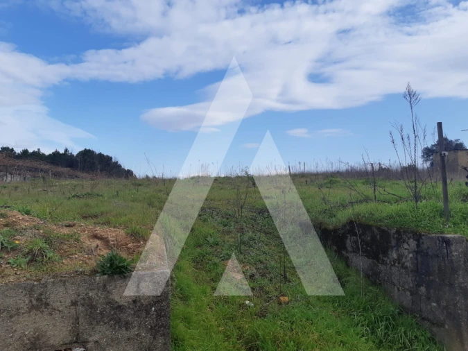 Terreno para Venda em São Lourenço do Bairro Foto 7