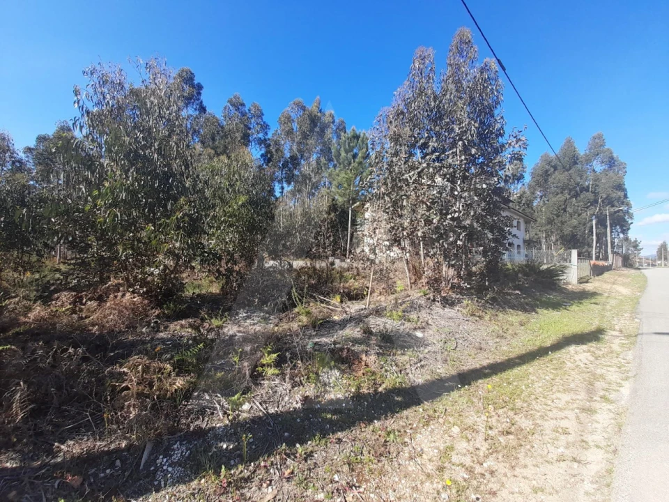 Terreno para Venda em Águeda e Borralha Foto 9