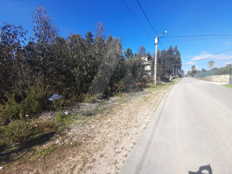 Terreno para Venda em Águeda e Borralha Foto 10