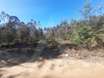 Terreno para Venda em Águeda e Borralha