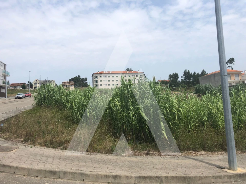 Terreno para Venda em Oliveira do Bairro Foto 3