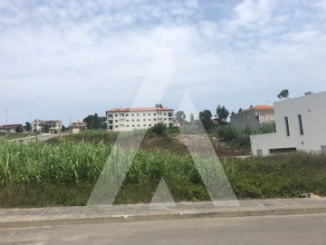 Terreno para Venda em Oliveira do Bairro