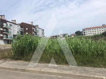 Terreno para Venda em Oliveira do Bairro