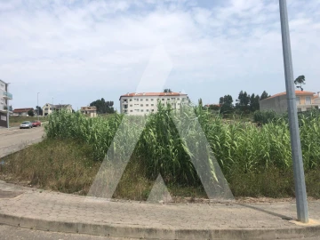 Terreno para Venda em Oliveira do Bairro
