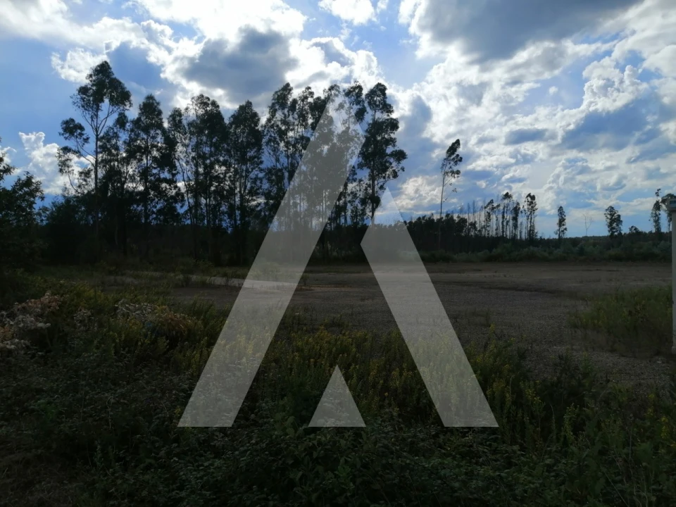 Terreno para Venda em Macinhata do Vouga Foto 4