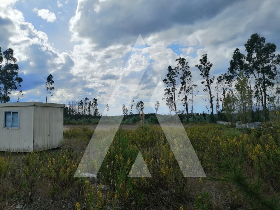 Terreno para Venda em Macinhata do Vouga Foto 6