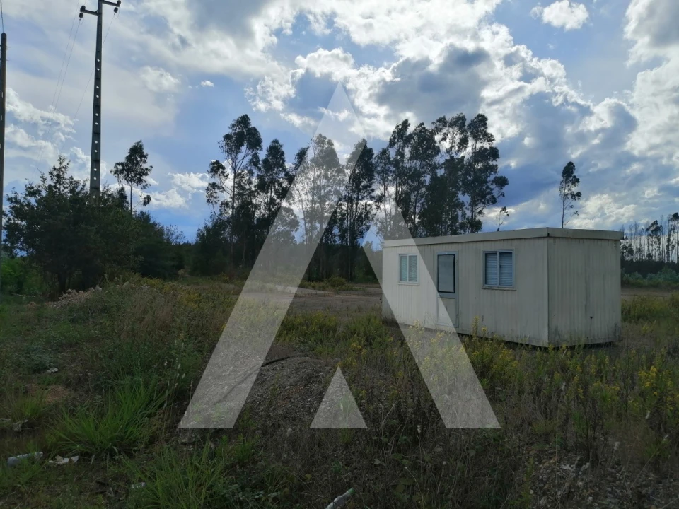 Terreno para Venda em Macinhata do Vouga Foto 7