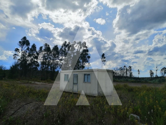 Terreno para Venda em Macinhata do Vouga Foto 5