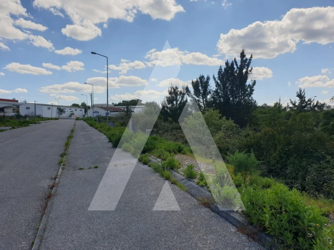 Terreno para Venda em Pombal Foto 3