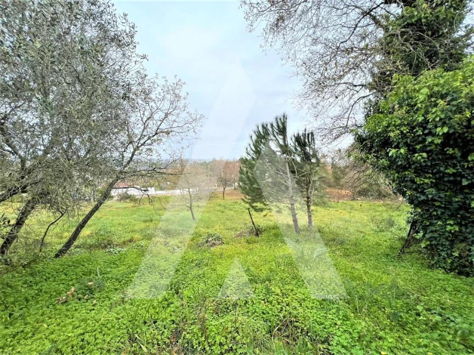 Terreno para Venda em Leiria, Pousos, Barreira e Cortes Foto 2