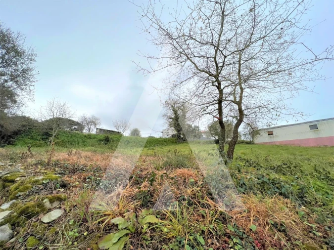 Terreno para Venda em Leiria, Pousos, Barreira e Cortes Foto 5