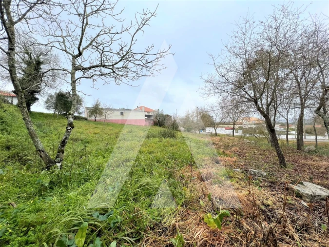 Terreno para Venda em Leiria, Pousos, Barreira e Cortes Foto 9