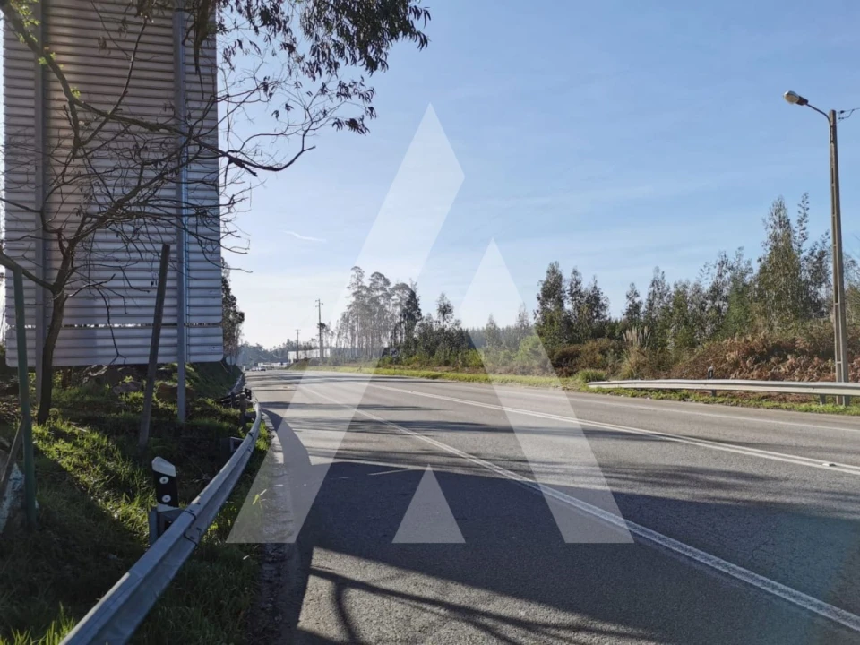 Terreno para Venda em Macinhata do Vouga Foto 4