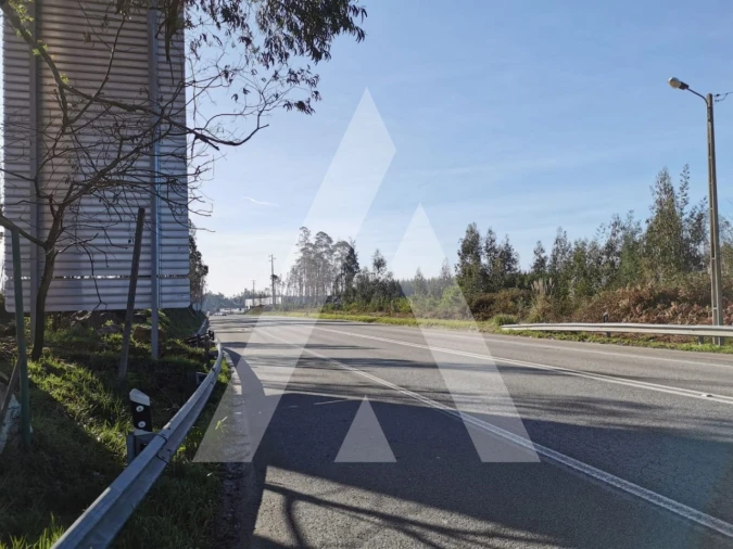 Terreno para Venda em Macinhata do Vouga Foto 4