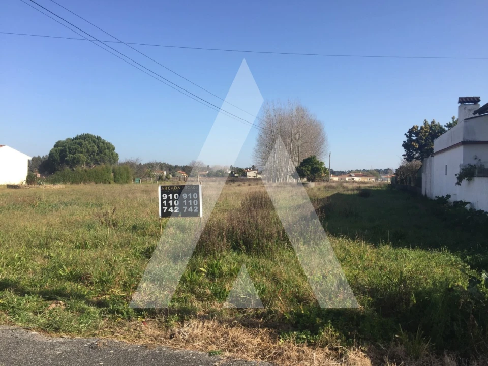 Terreno para Venda em Bustos, Troviscal e Mamarrosa Foto 4