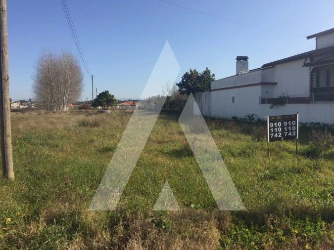 Terreno para Venda em Bustos, Troviscal e Mamarrosa Foto 2