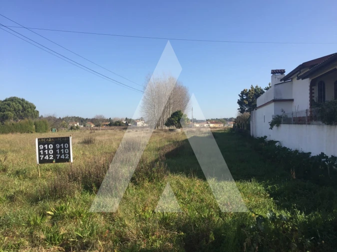 Terreno para Venda em Bustos, Troviscal e Mamarrosa Foto 3