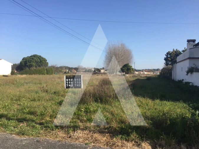 Terreno para Venda em Bustos, Troviscal e Mamarrosa Foto 4