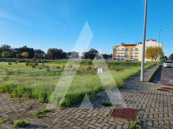 Terreno para Venda em Cartaxo e Vale da Pinta Foto 7