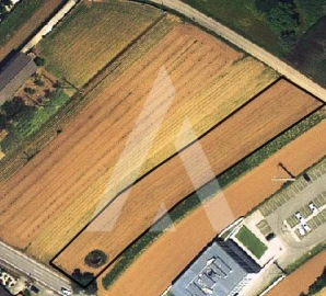 Terreno para Venda em Requeixo, Nossa Senhora de Fátima e Nariz