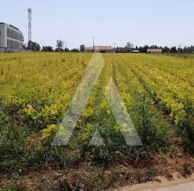 Terreno para Venda em Requeixo, Nossa Senhora de Fátima e Nariz