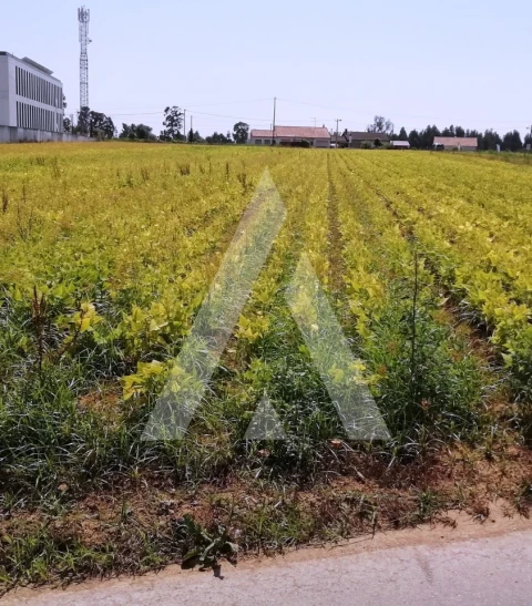 Terreno para Venda em Requeixo, Nossa Senhora de Fátima e Nariz