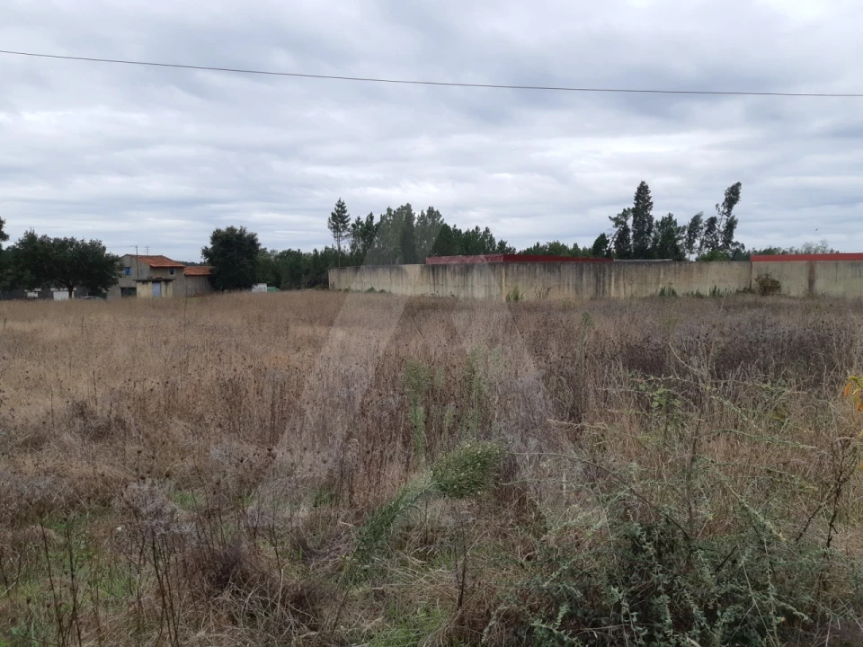 Terreno para Venda em Avelãs de Cima Foto 1