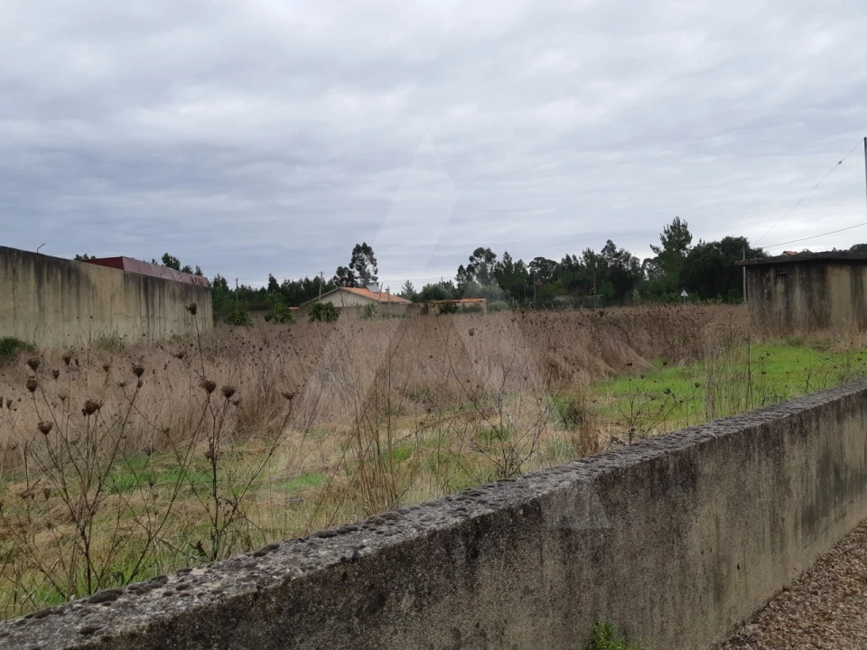 Terreno para Venda em Avelãs de Cima Foto 2