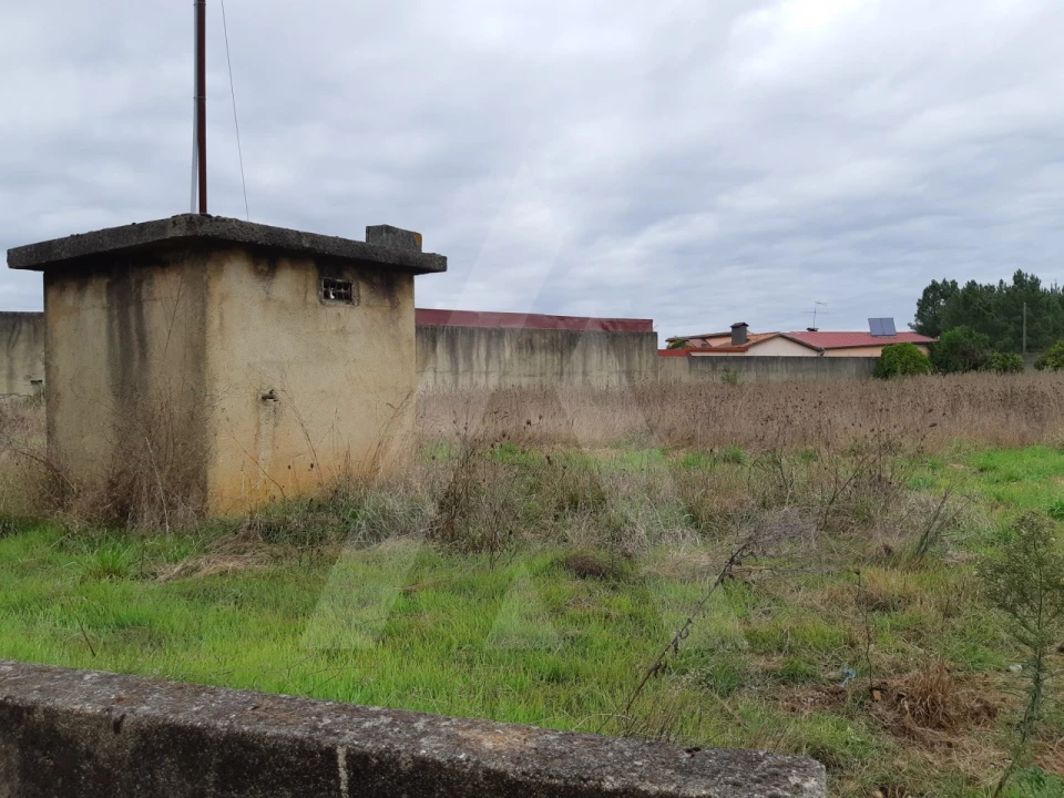 Terreno para Venda em Avelãs de Cima Foto 3