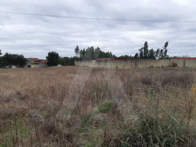 Terreno para Venda em Avelãs de Cima