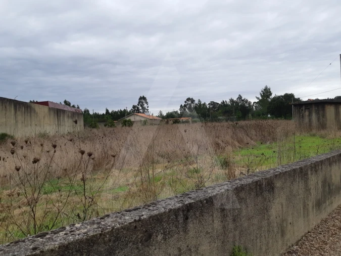 Terreno para Venda em Avelãs de Cima Foto 2