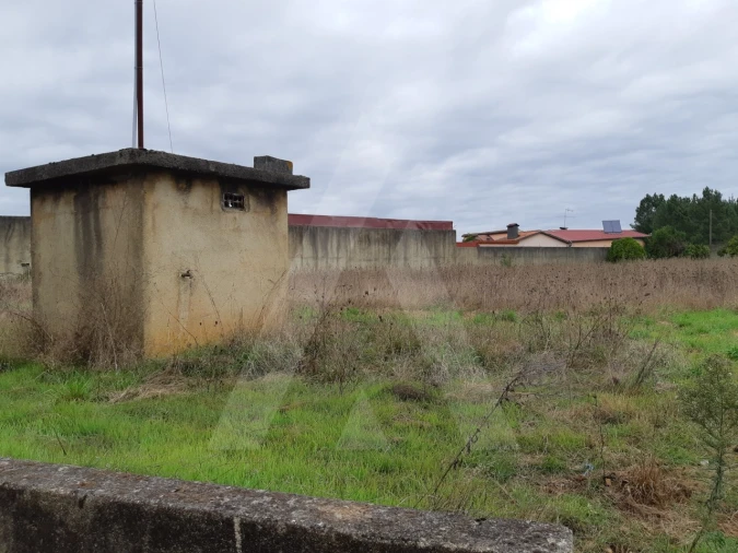 Terreno para Venda em Avelãs de Cima Foto 3