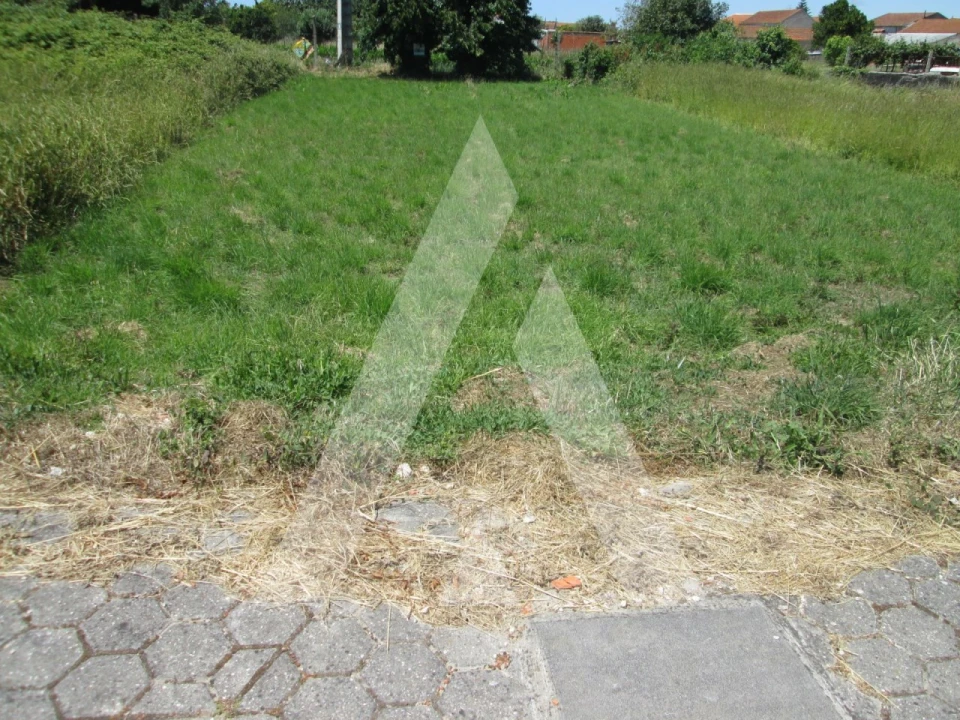 Terreno para Venda em Cacia Foto 2