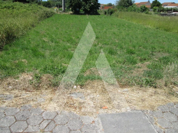 Terreno para Venda em Cacia Foto 2