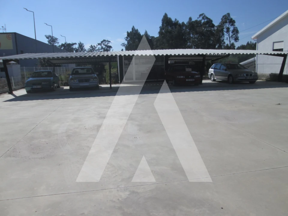 Terreno para Venda em Vagos e Santo António Foto 2